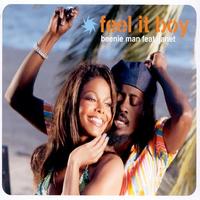 Feel It Boy (Album Version)
