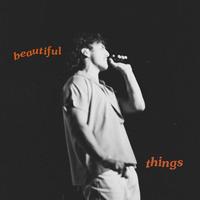 Beautiful Things (Clean)