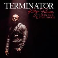 Terminator (Remix) (Main)