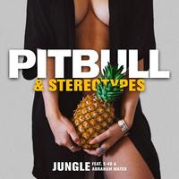 Jungle (Dirty)
