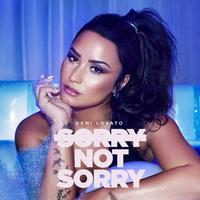 Sorry Not Sorry (Dirty)