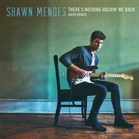 Theres Nothing Holdin Me Back (NOTD Remix) (Radio Edit)