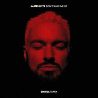 Don't Wake Me Up (Shimza Remix) (Extended)