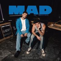 MAD (Matt Pridgyn Remix) (Extended)