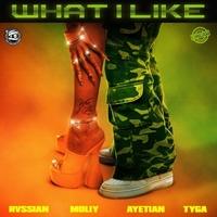 What I Like (Main)