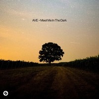Meet Me In The Dark (Extended)