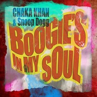 Boogie's in My Soul (Clean)