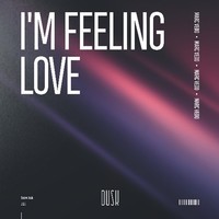 I'm Feeling Love (Radio Edit)
