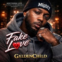 Fake Love (Clean)
