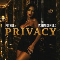 Privacy (Clean)