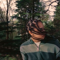 trees for the woods (Clean)