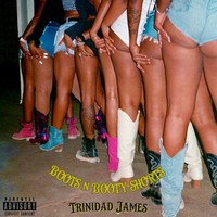 Boots N Booty Shorts (Dirty)