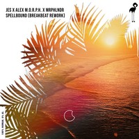 Spellbound (Breakbeat Rework) (Radio Edit)