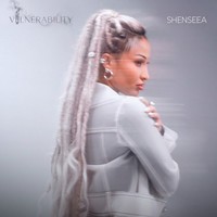 Vulnerability (Main)
