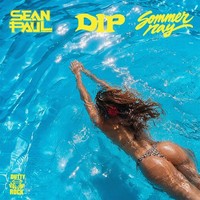 DIP (Clean)
