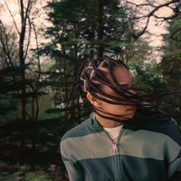 trees for the woods (Main)