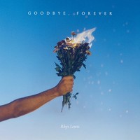 Goodbye, Forever (Main)