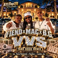 VVS (Tank Dogg Remix) (Dirty)