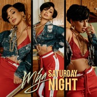 Saturday Night (Acapella Clean)
