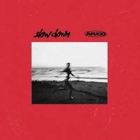 Slow Down (Radio Edit)