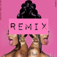 WAP (Mr Collipark Remix) (Clean)