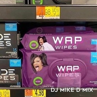 WAP (DJ Mike D Remix) (Clean)