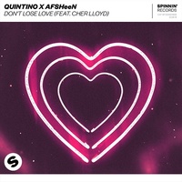 Dont Lose Love (Radio Edit)