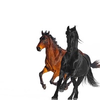 Old Town Road (Remix) (Clean)